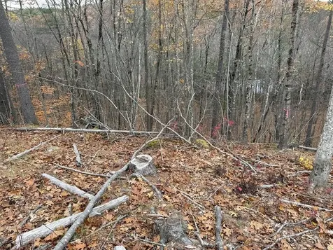 207-002 Washington Street Barrington NH 03825