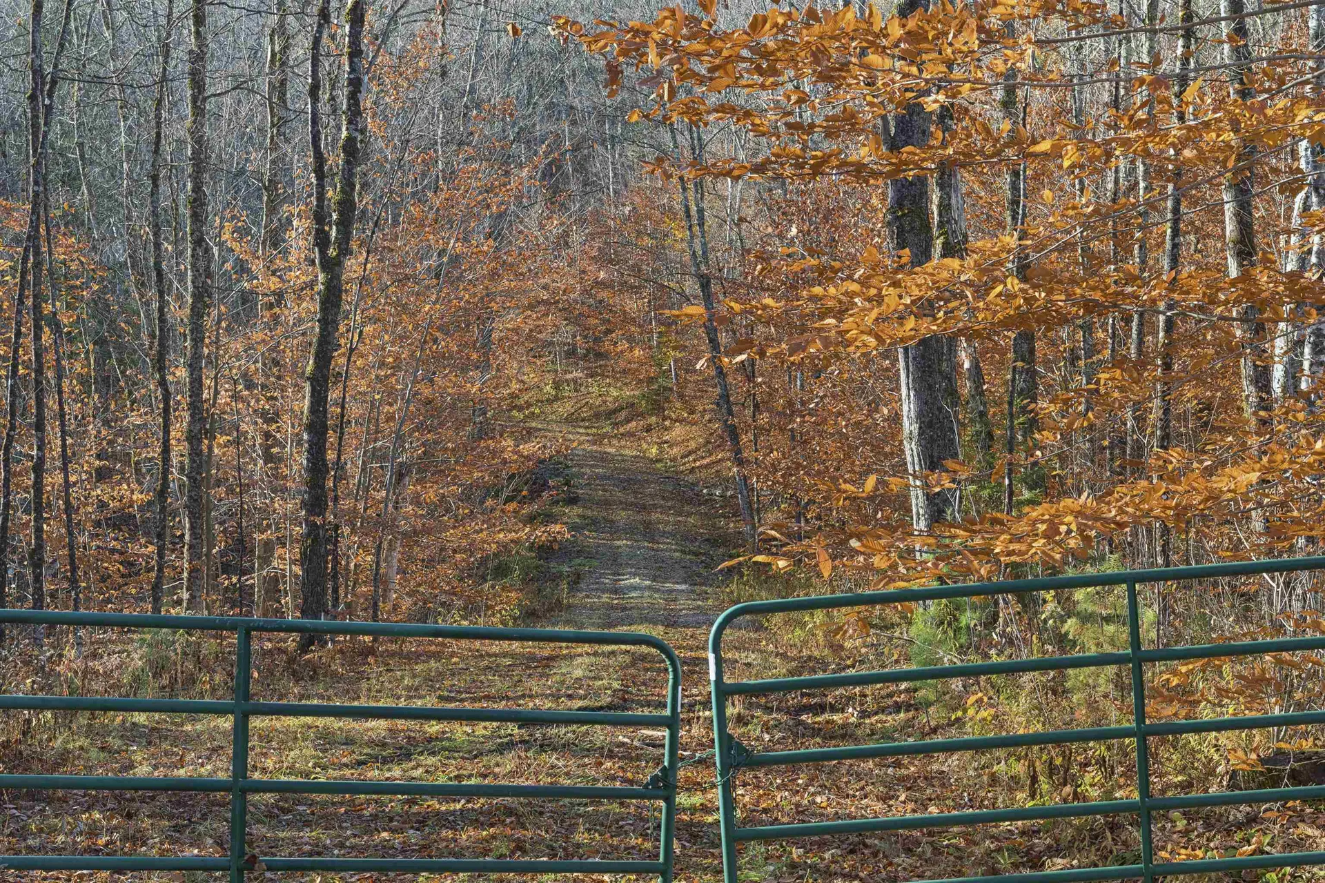 00 Wild Apple Road Pomfret VT 05067