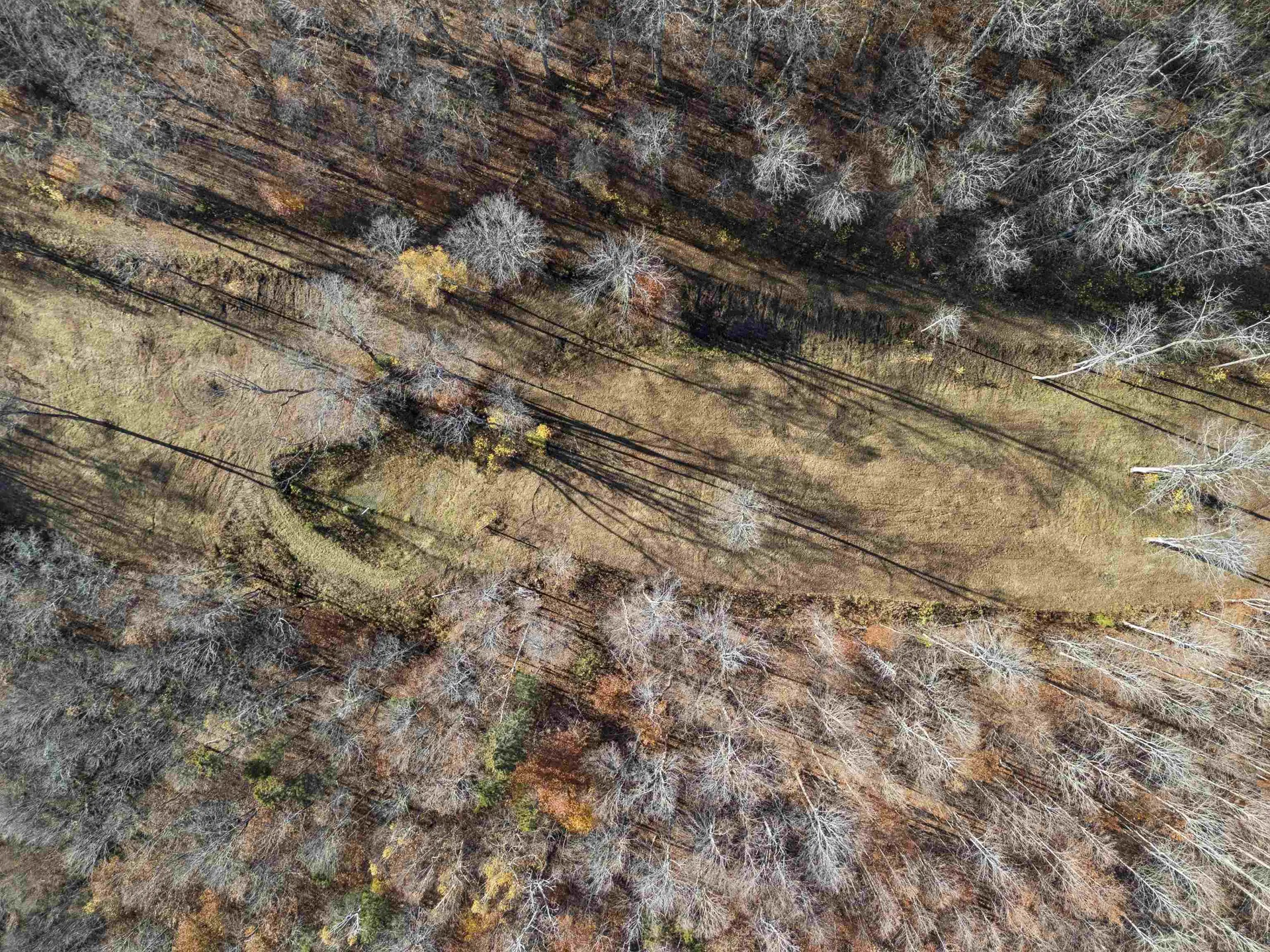 00 Wild Apple Road Pomfret VT 05067