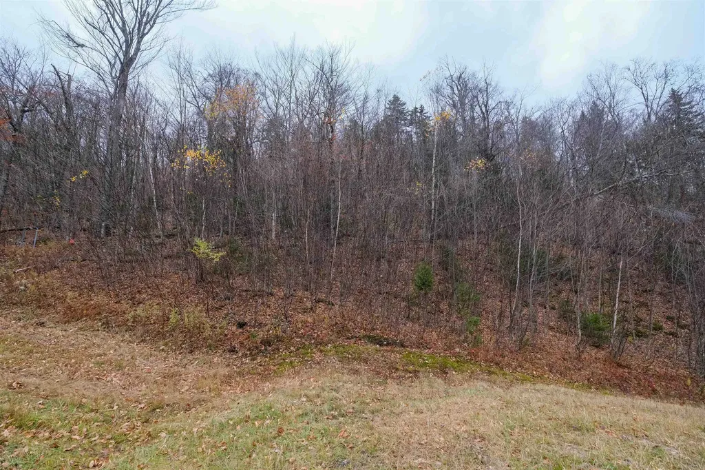 0 Mountain Road Ludlow VT 05149