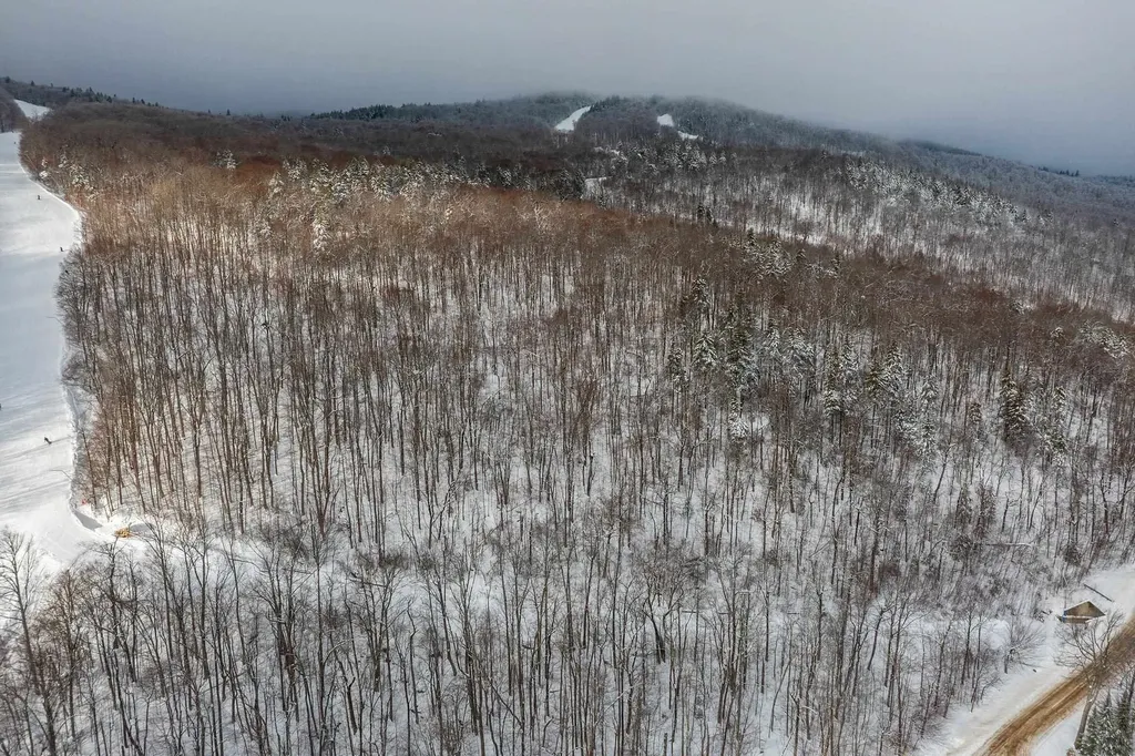 0 Mountain Road Ludlow VT 05149