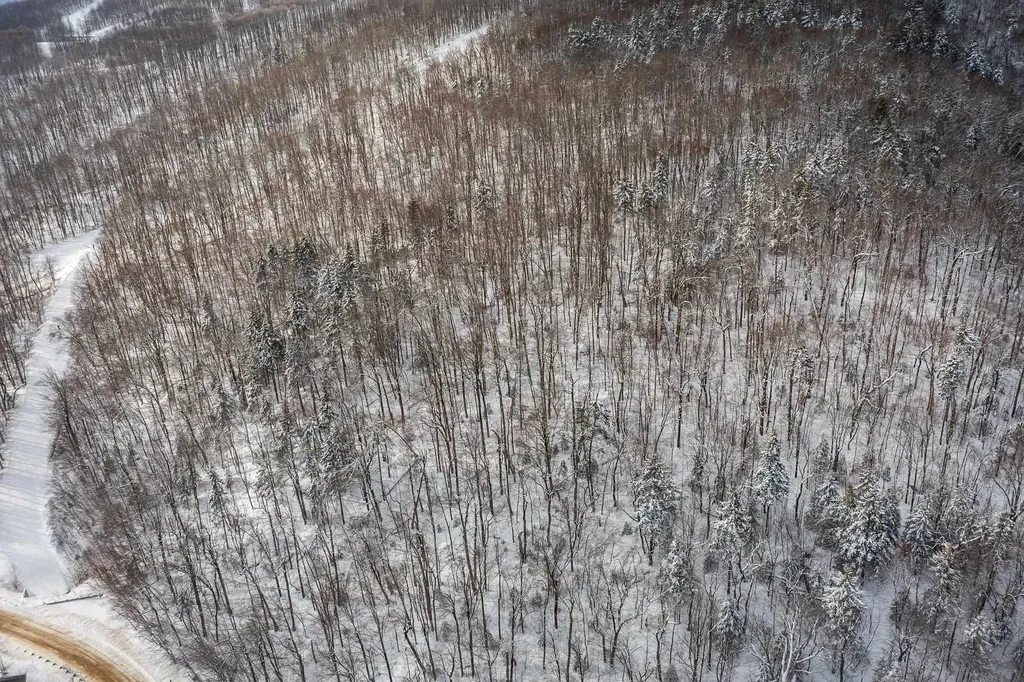 0 Mountain Road Ludlow VT 05149