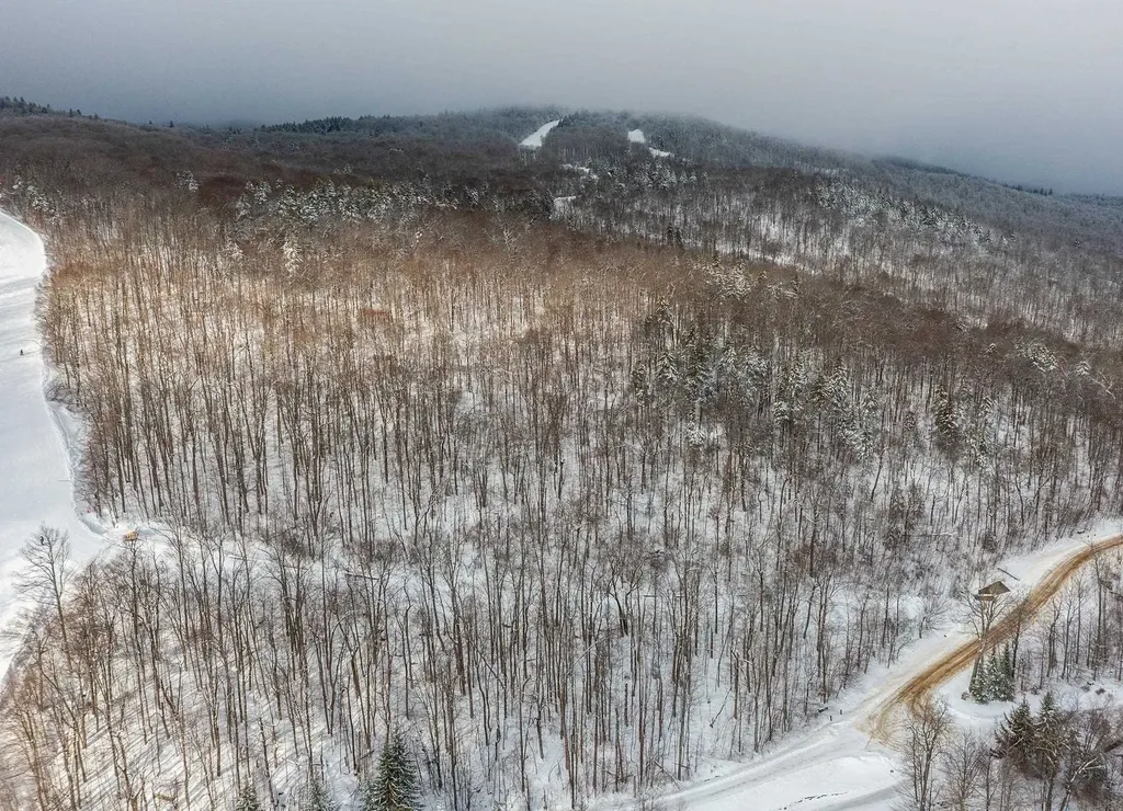 0 Mountain Road Ludlow VT 05149