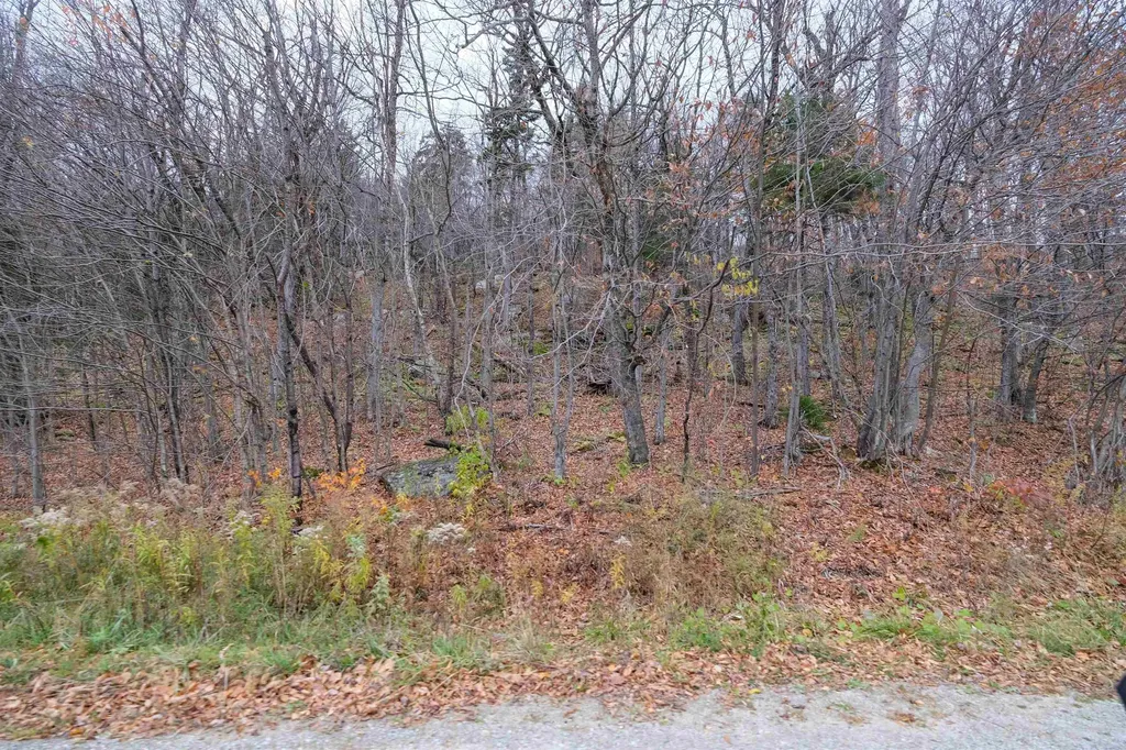 0 Mountain Road Ludlow VT 05149