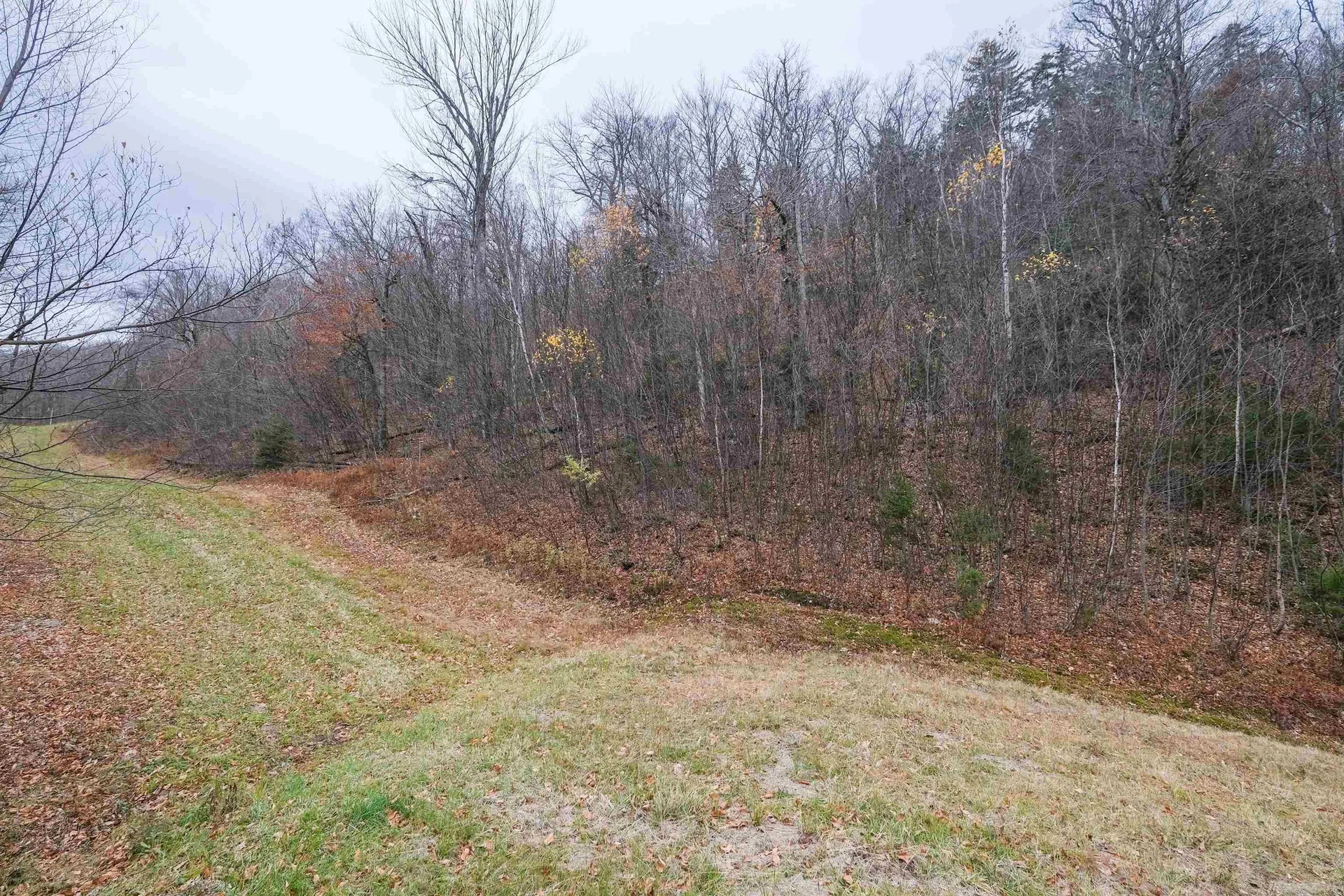 0 Mountain Road Ludlow VT 05149