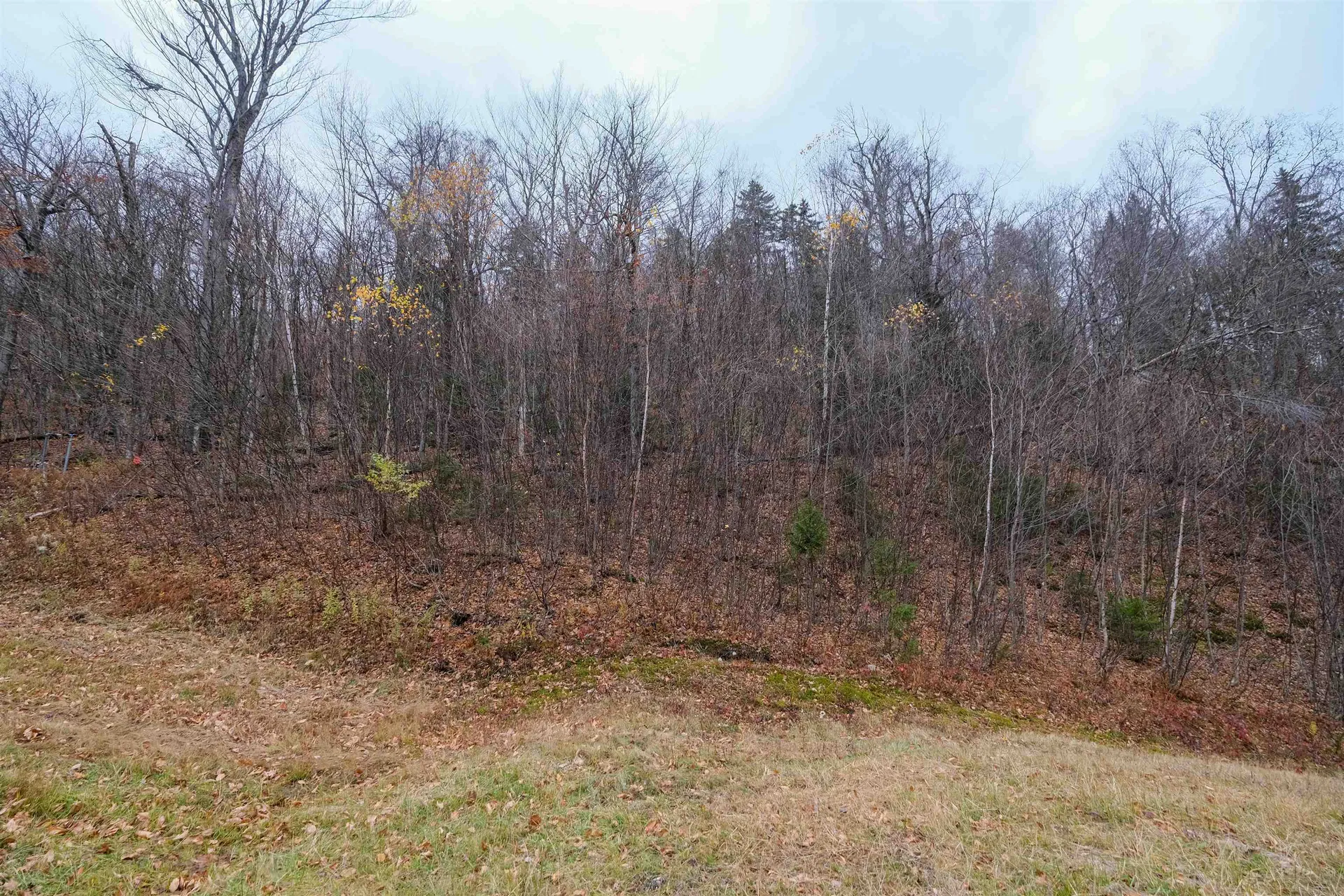 0 Mountain Road Ludlow VT 05149