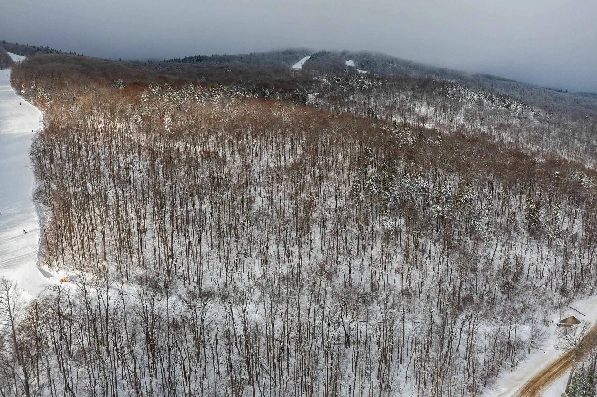 0 Mountain Road Ludlow VT 05149