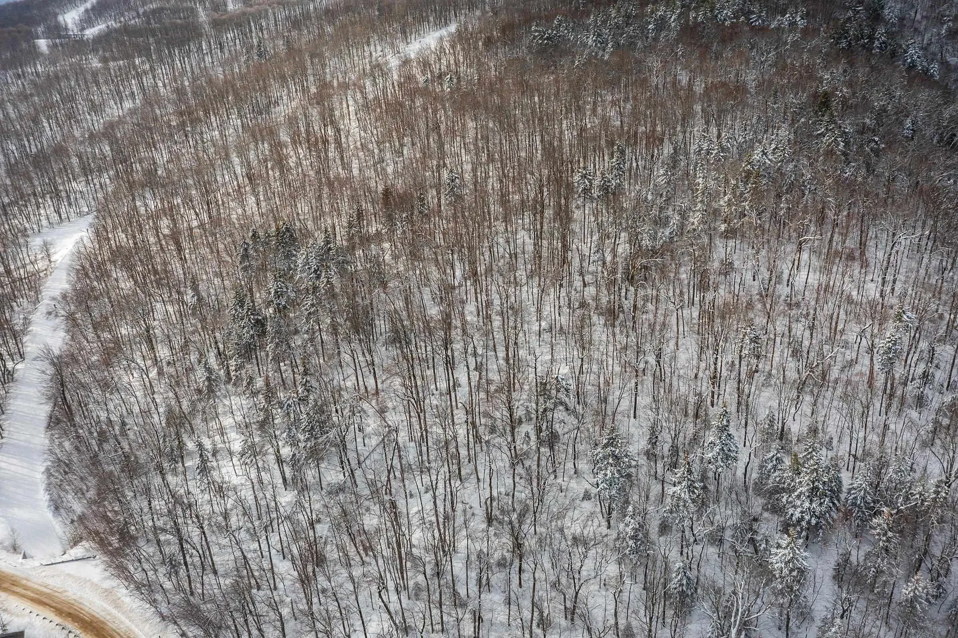 0 Mountain Road Ludlow VT 05149