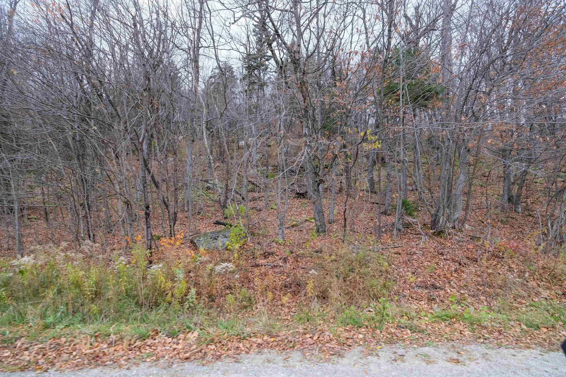 0 Mountain Road Ludlow VT 05149