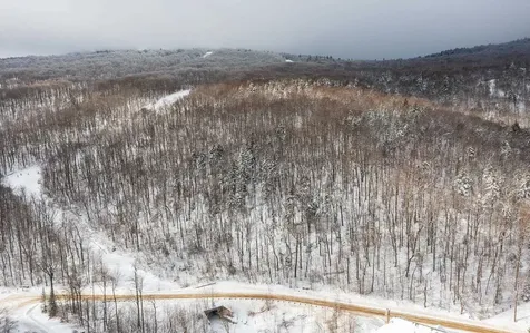 0 Mountain Road Ludlow VT 05149