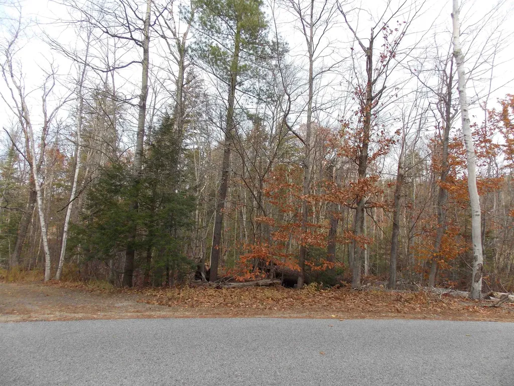 Lot 49 Mittenwald Strasse Road Bartlett NH 03812