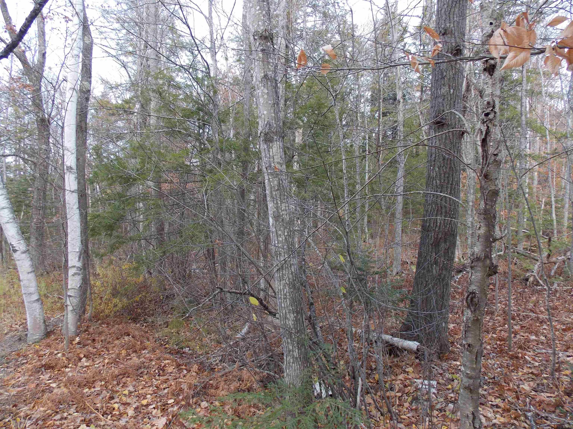 Lot 49 Mittenwald Strasse Road Bartlett NH 03812