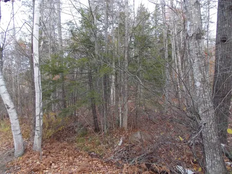 Lot 49 Mittenwald Strasse Road Bartlett NH 03812
