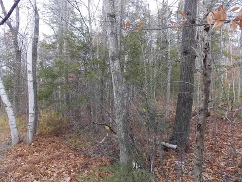 Lot 49 Mittenwald Strasse Road Bartlett NH 03812