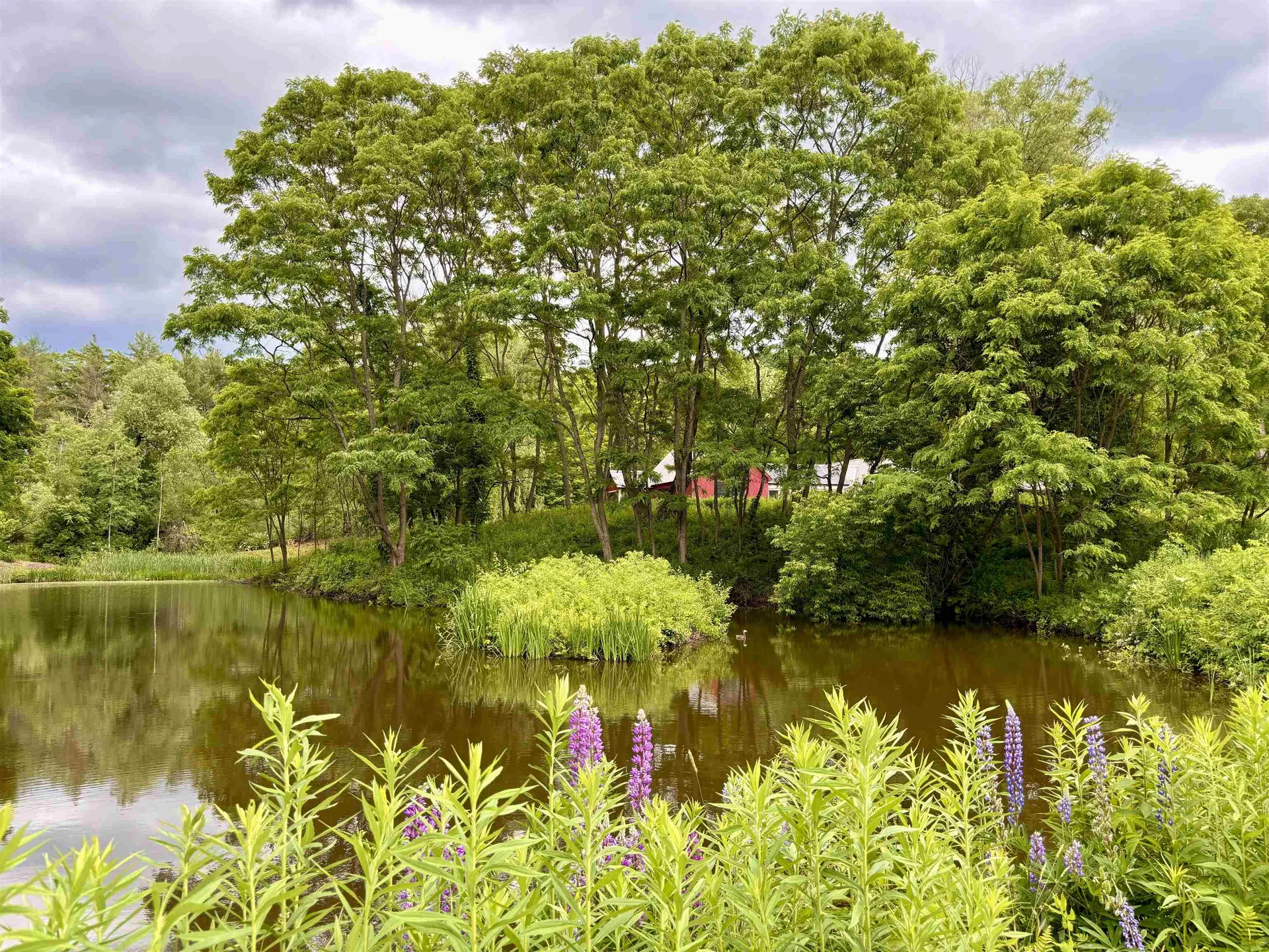 26 Old North Main Street Walpole NH 03608