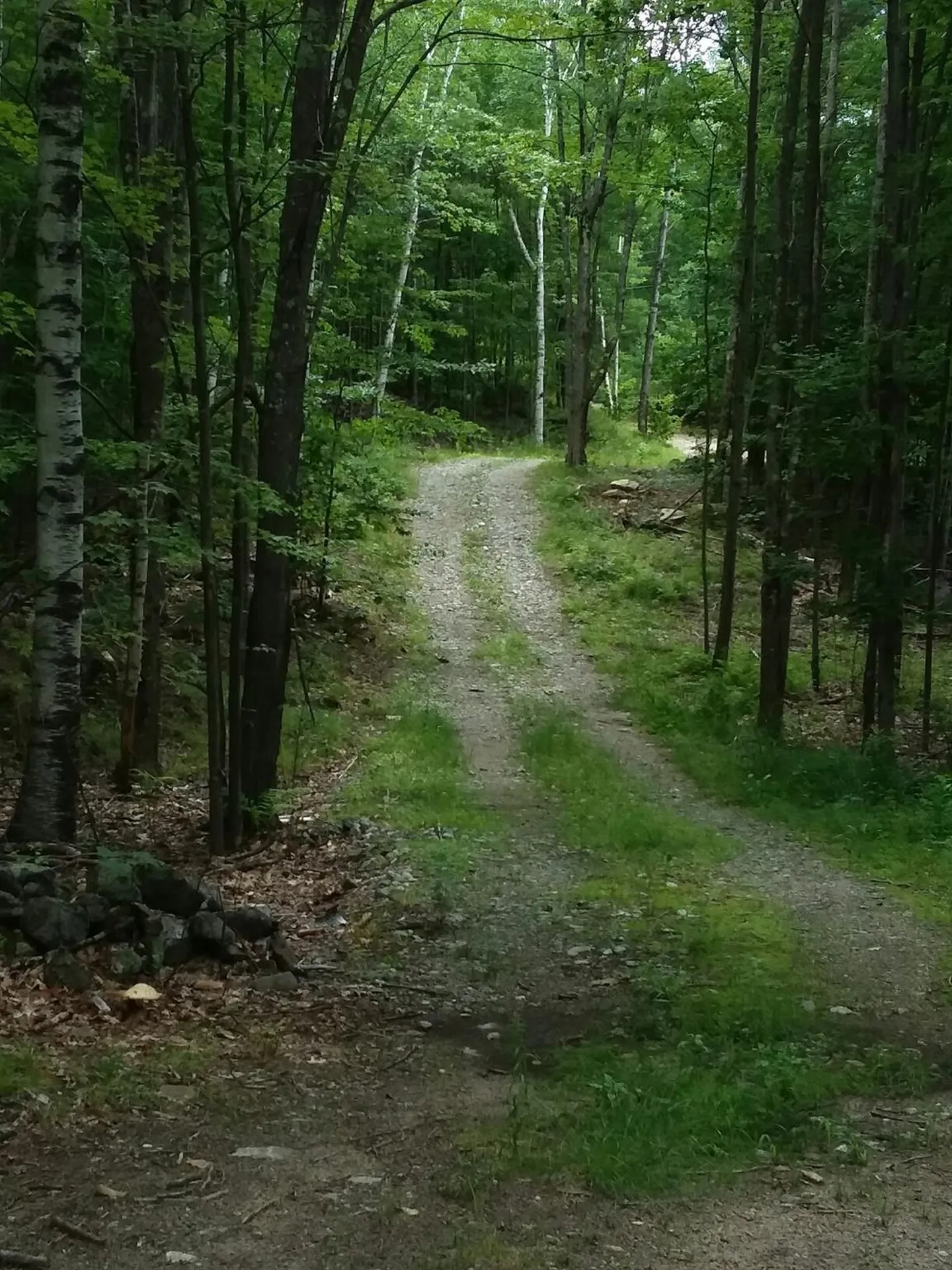 00 Old Wolfeboro Road Alton NH 03809