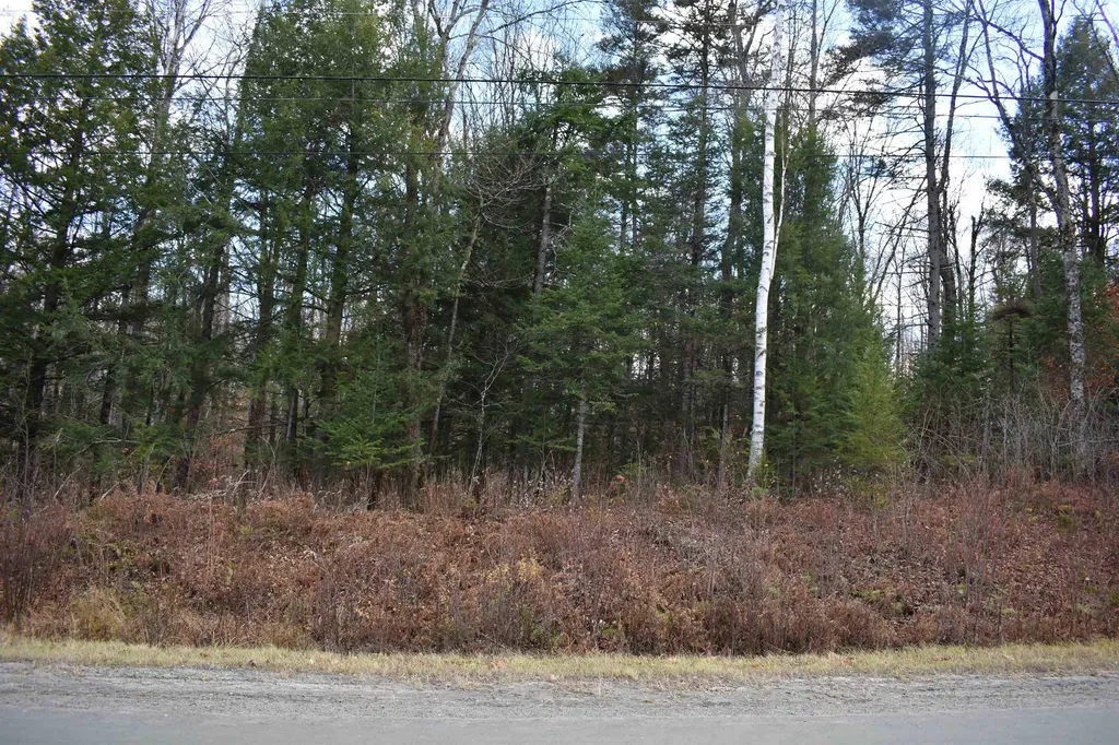 0 Grafton Pond Road Enfield NH 03748
