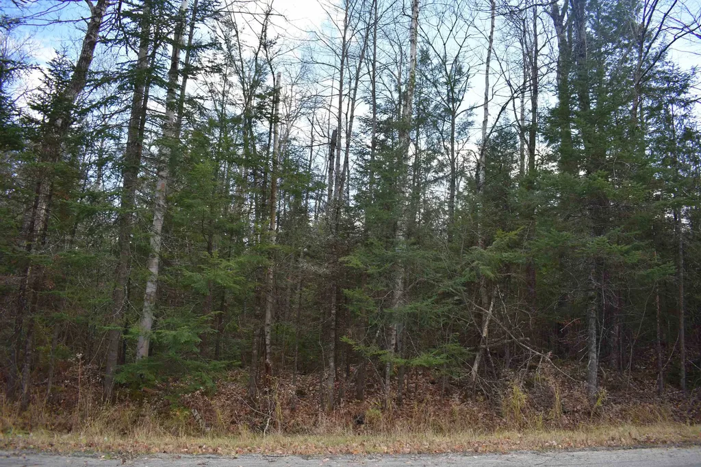 0 Grafton Pond Road Enfield NH 03748