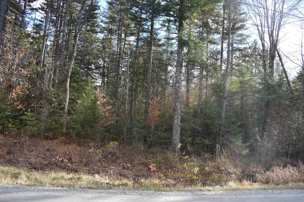 0 Grafton Pond Road Enfield NH 03748