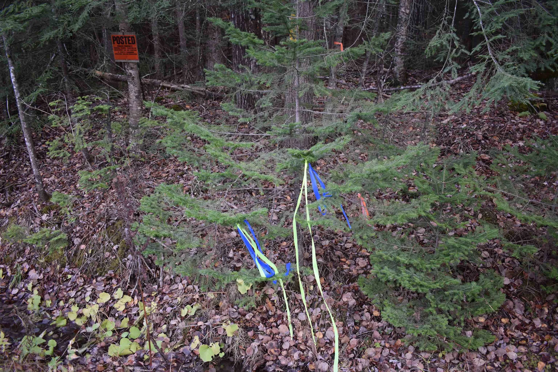 0 Grafton Pond Road Enfield NH 03748