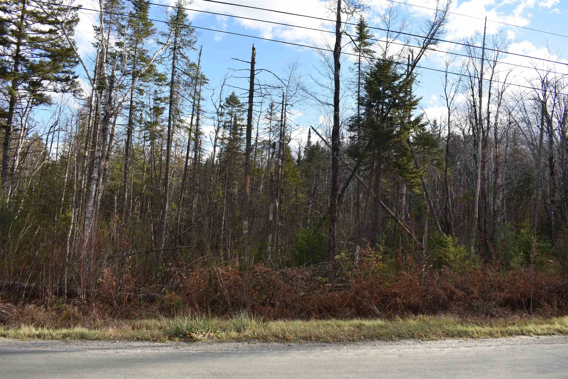 0 Grafton Pond Road Enfield NH 03748