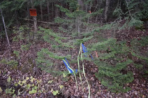 0 Grafton Pond Road Enfield NH 03748