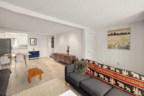 55 Village Green Drive Stowe VT 05672