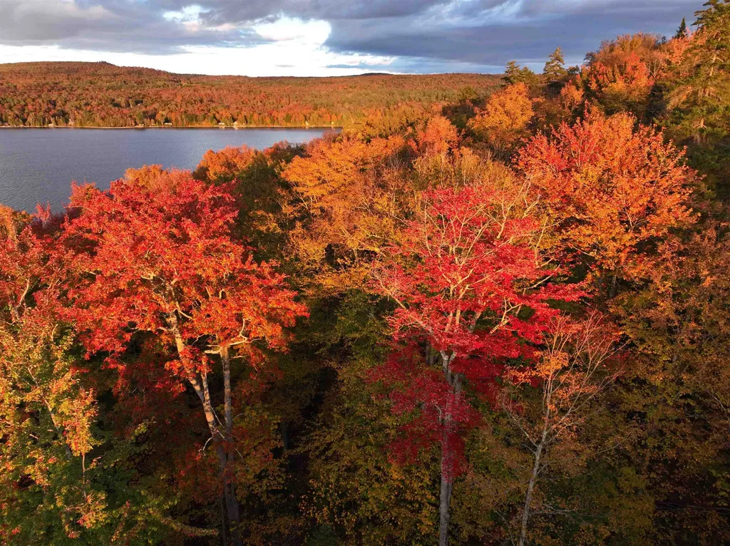 670 Wayeeses Shore Morgan VT 05853