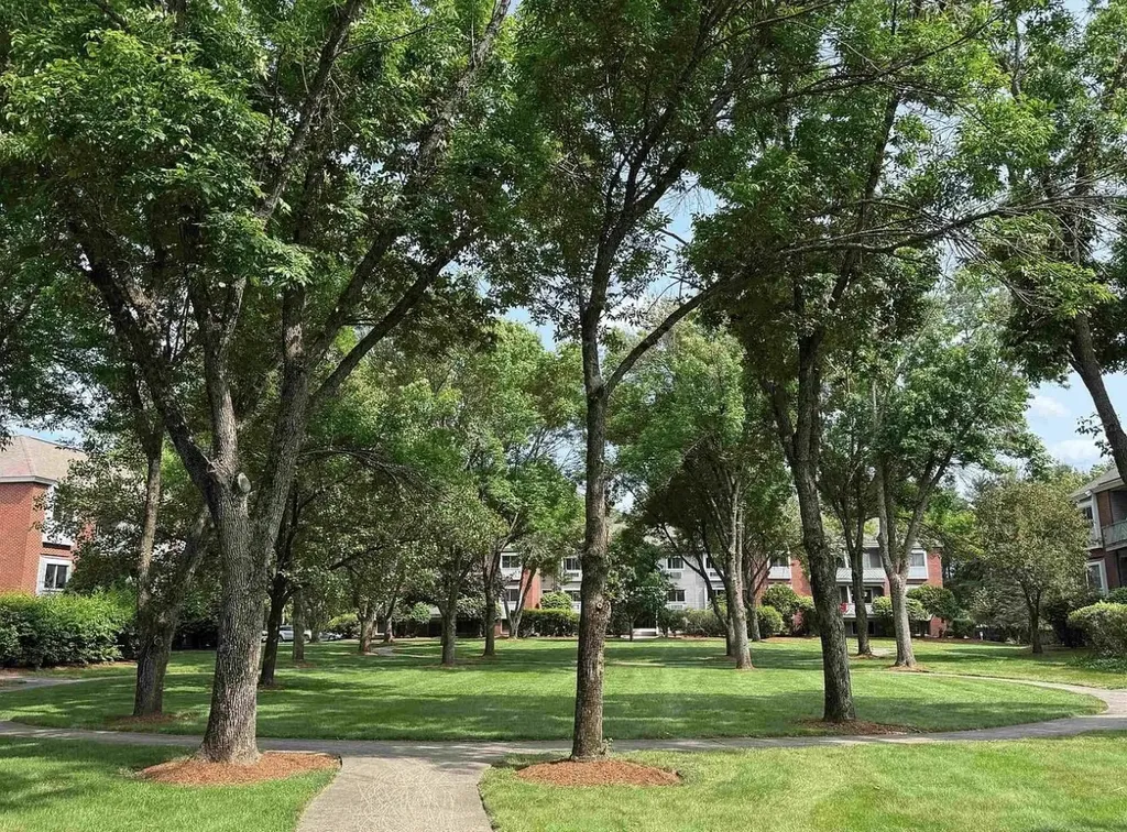 117 Cluff Crossing Road Salem NH 03079