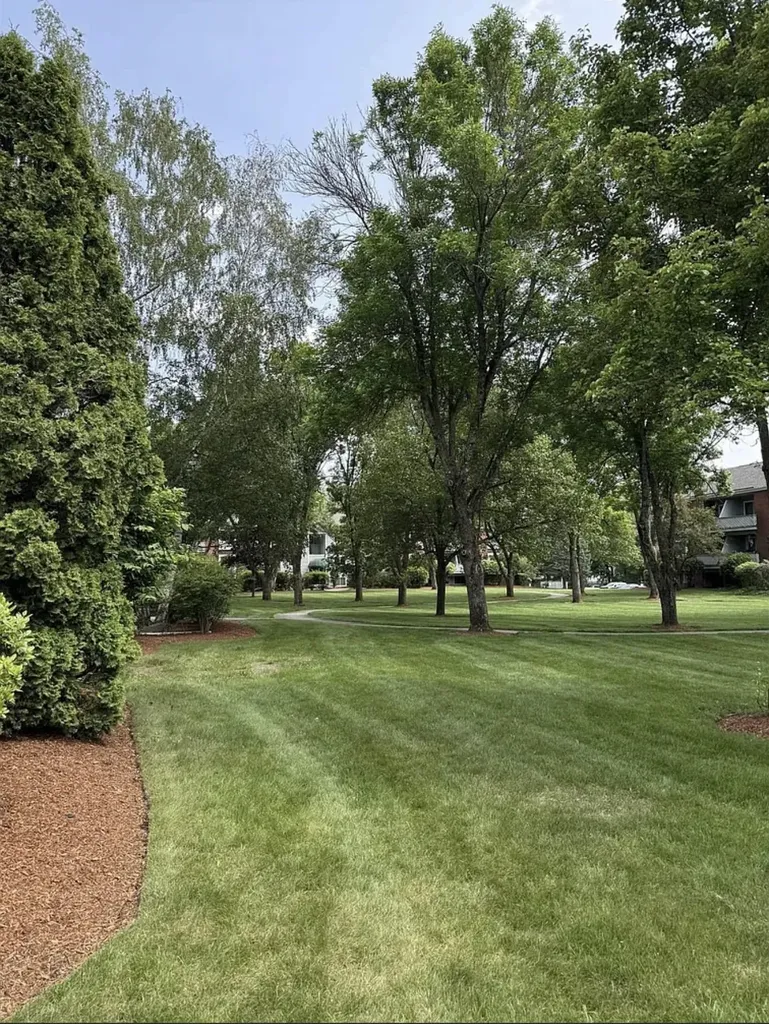 117 Cluff Crossing Road Salem NH 03079