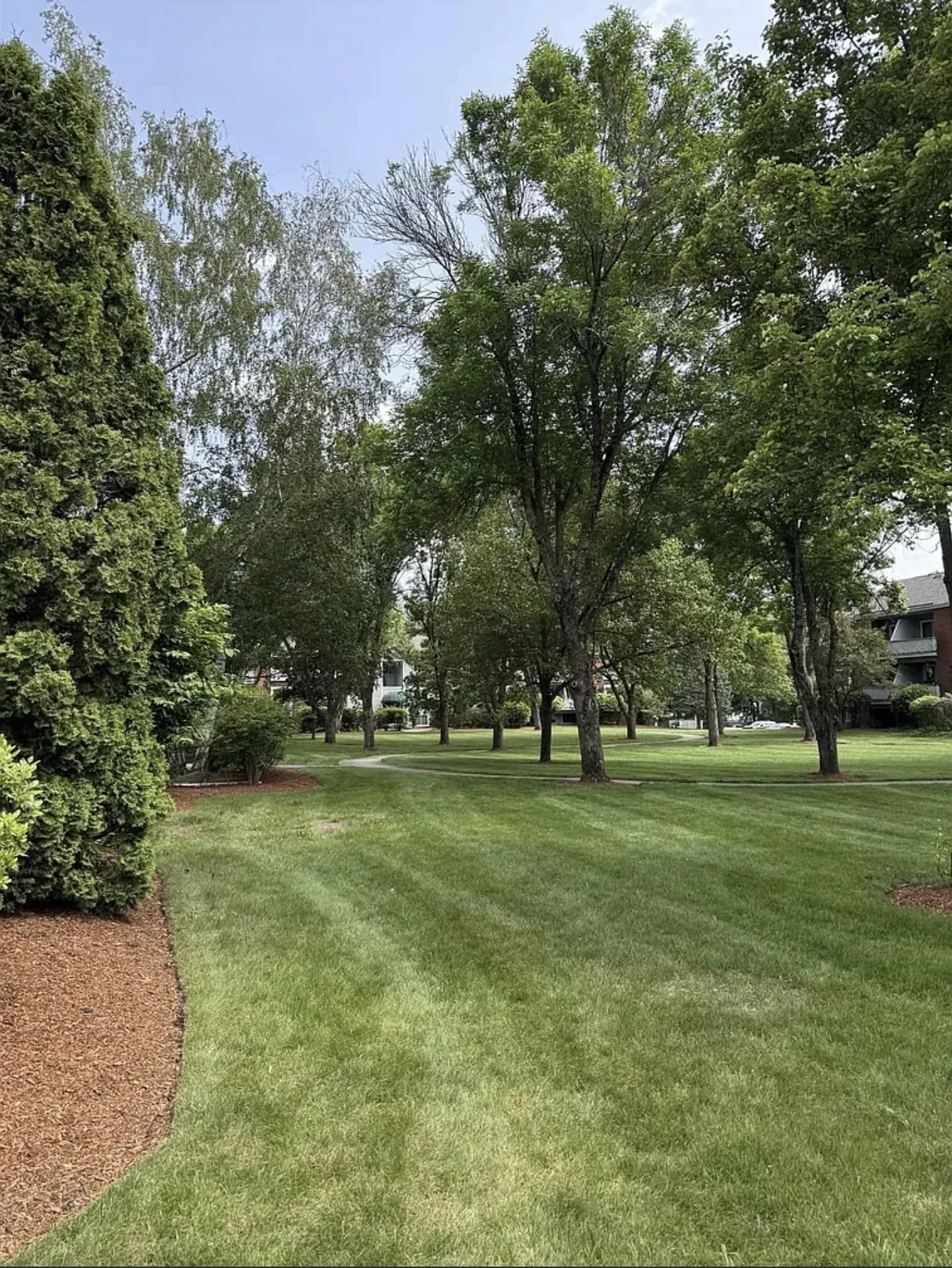 117 Cluff Crossing Road Salem NH 03079