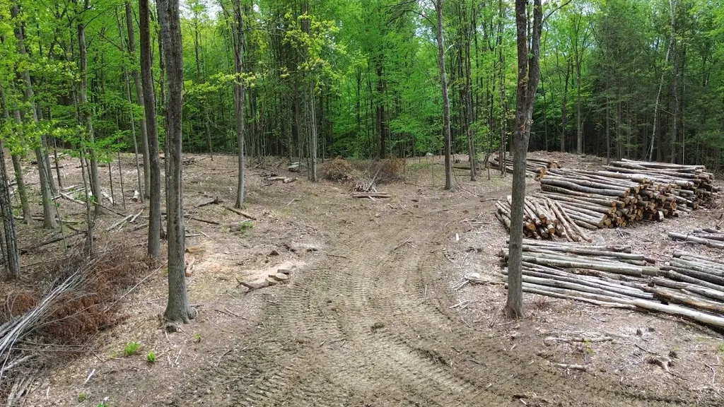 Lot 26-1 Plain Road Hinsdale NH 03451