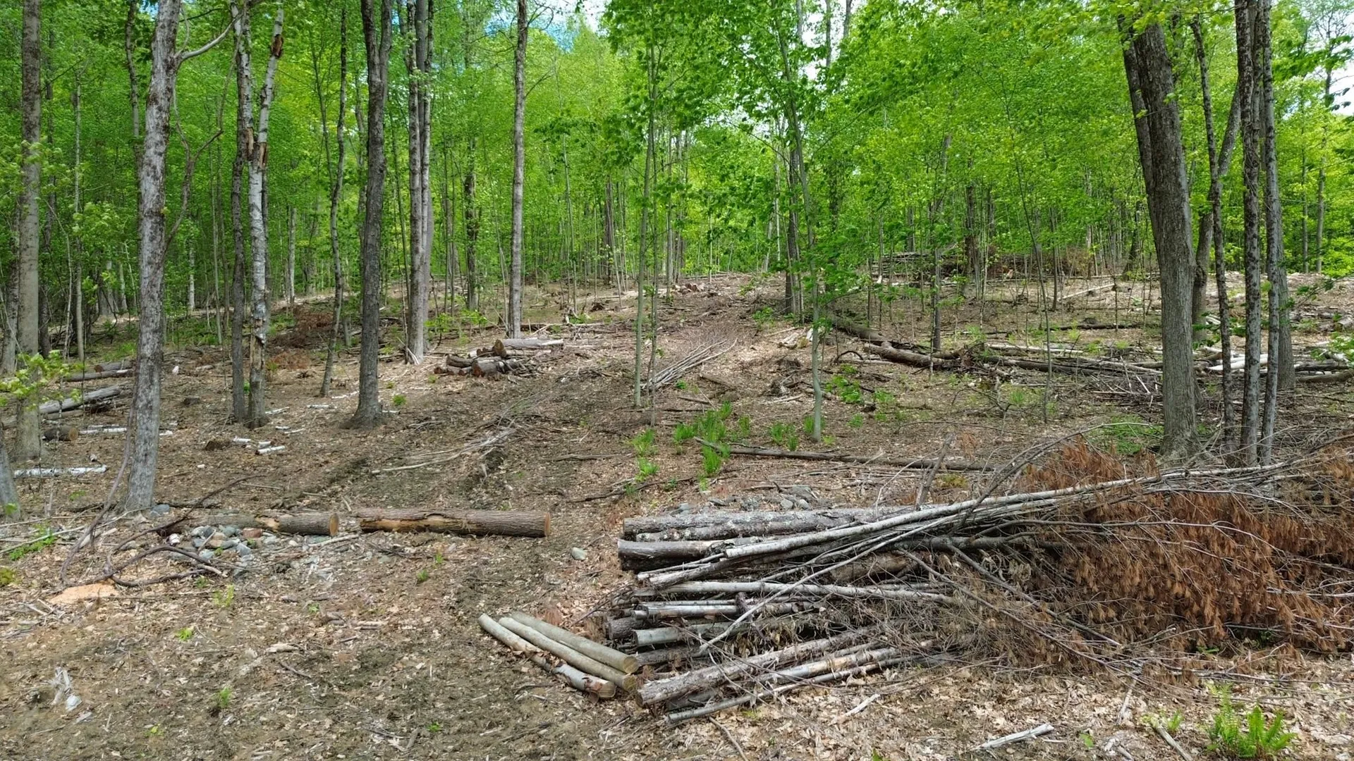 Lot 26-1 Plain Road Hinsdale NH 03451