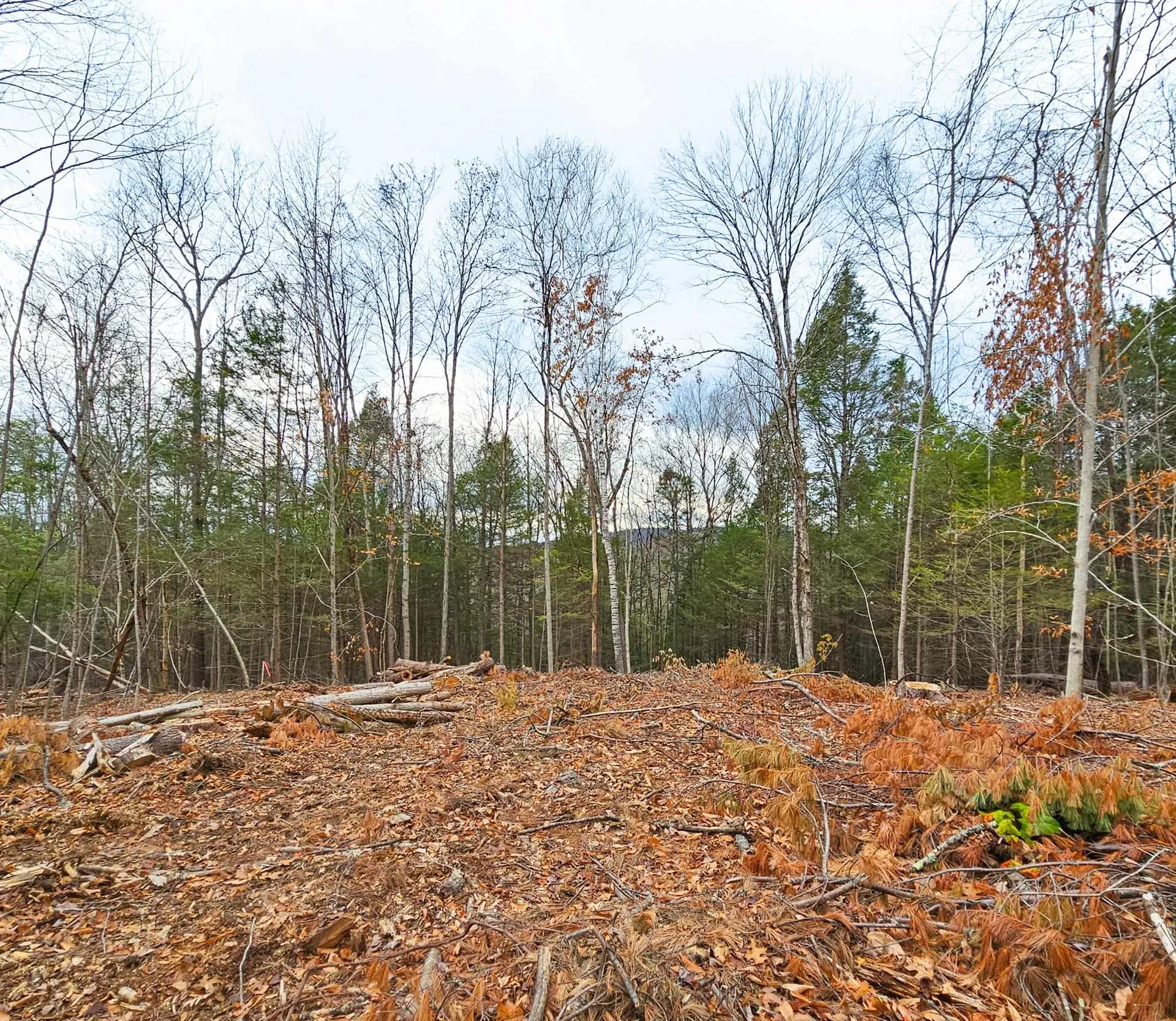 Lot 26-1 Plain Road Hinsdale NH 03451