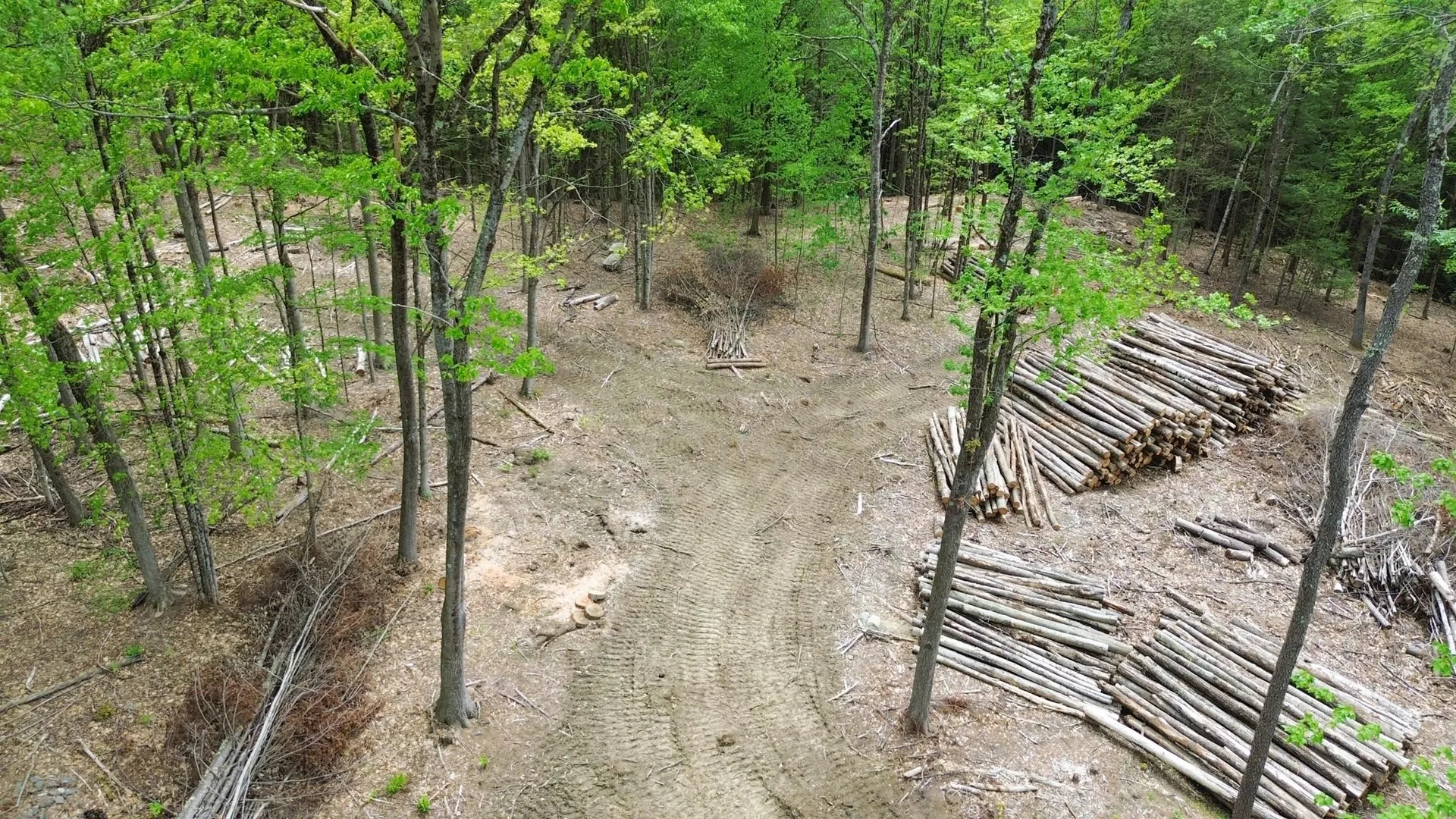 Lot 26-1 Plain Road Hinsdale NH 03451