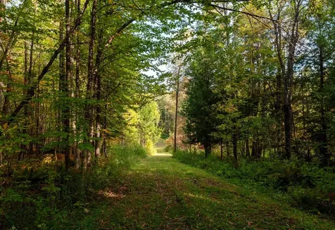 130 Center Road Hardwick VT 05843