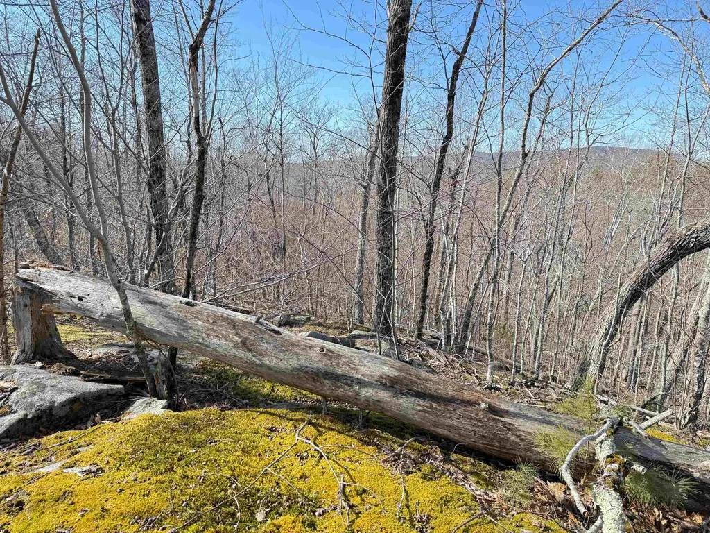 Map 3 Lot 18-2b And 18-2c Water Street Strafford NH 03884