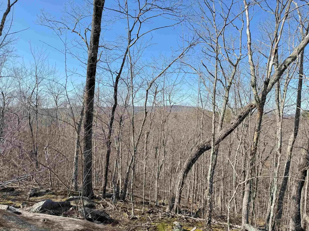 Map 3 Lot 18-2b And 18-2c Water Street Strafford NH 03884