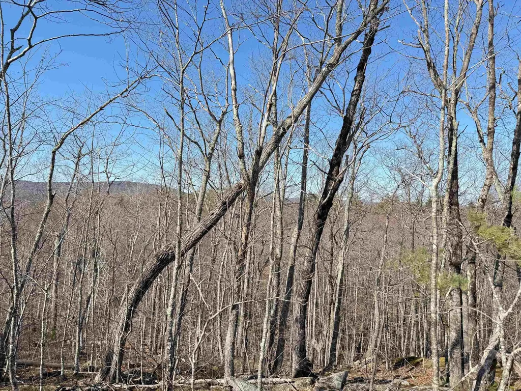 Map 3 Lot 18-2b And 18-2c Water Street Strafford NH 03884