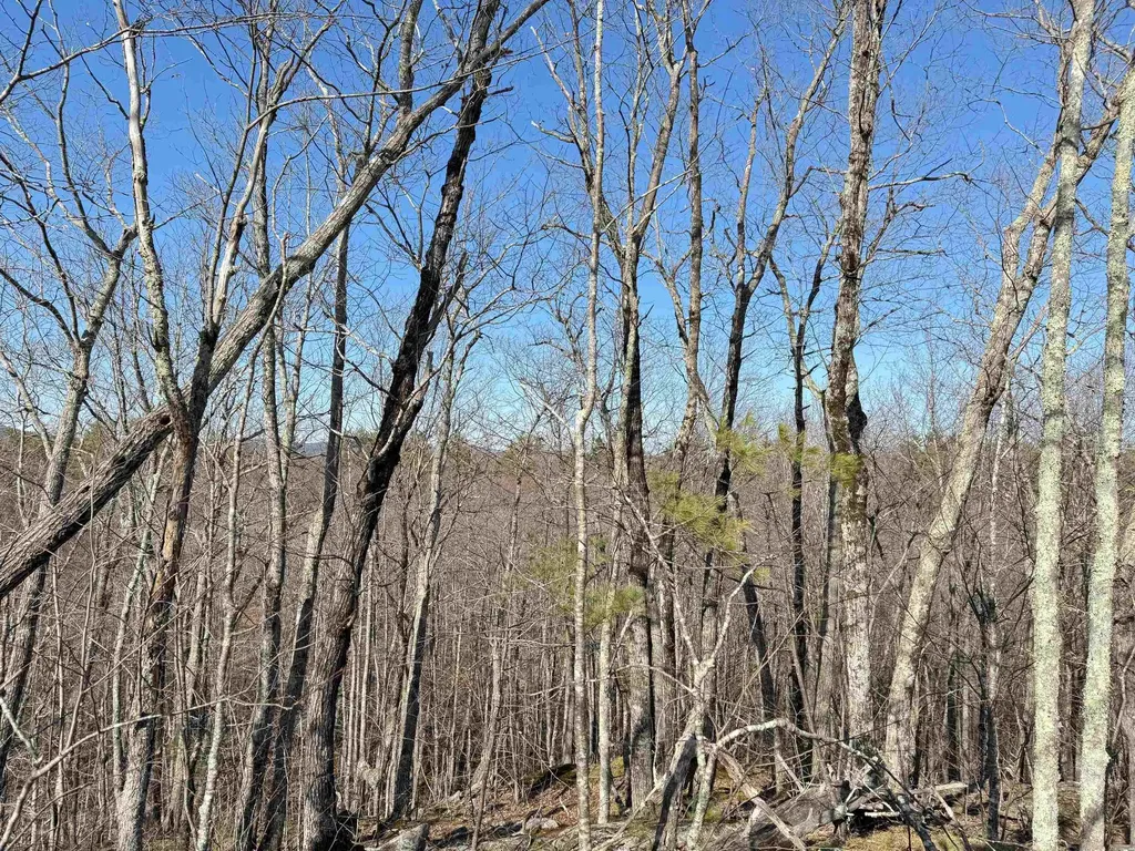 Map 3 Lot 18-2b And 18-2c Water Street Strafford NH 03884