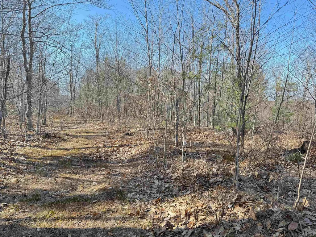 Map 3 Lot 18-2b And 18-2c Water Street Strafford NH 03884