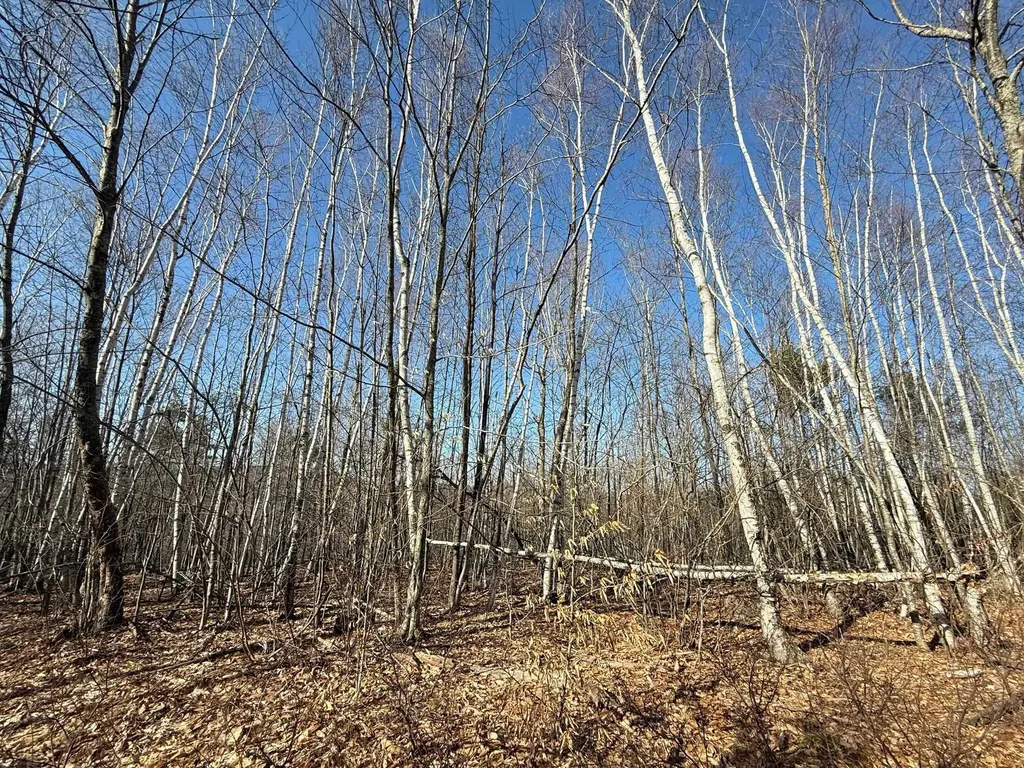 Map 3 Lot 18-2b And 18-2c Water Street Strafford NH 03884