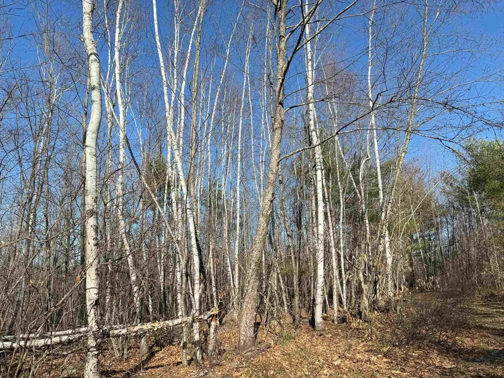 Map 3 Lot 18-2b And 18-2c Water Street Strafford NH 03884