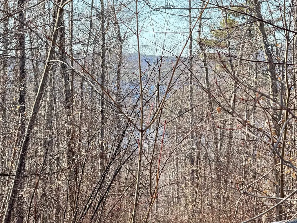 Map 3 Lot 18-2b And 18-2c Water Street Strafford NH 03884