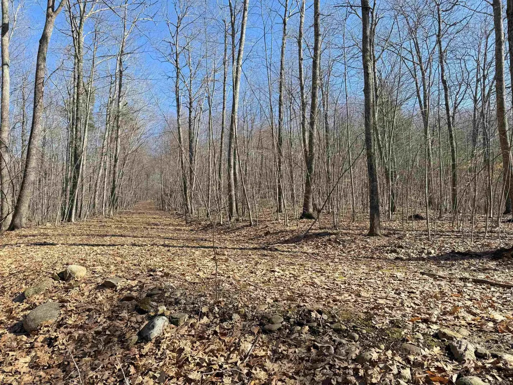 Map 3 Lot 18-2b And 18-2c Water Street Strafford NH 03884