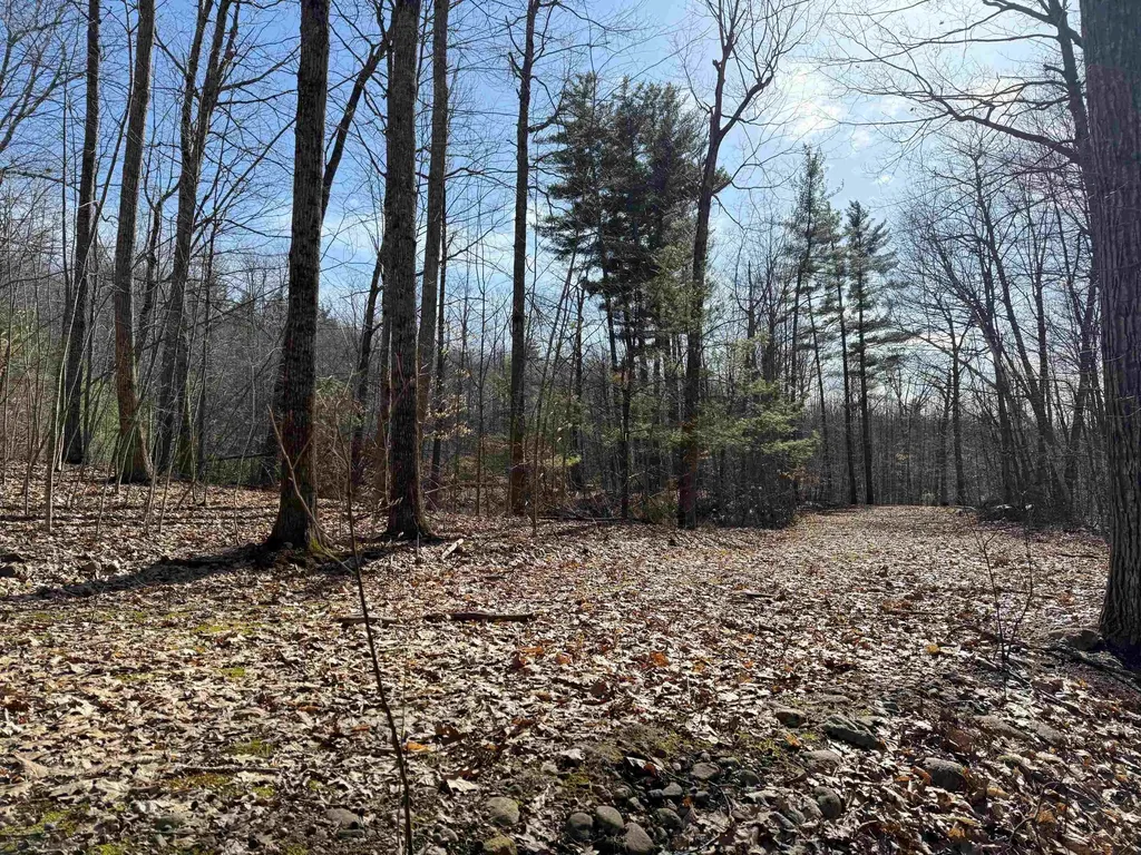 Map 3 Lot 18-2b And 18-2c Water Street Strafford NH 03884