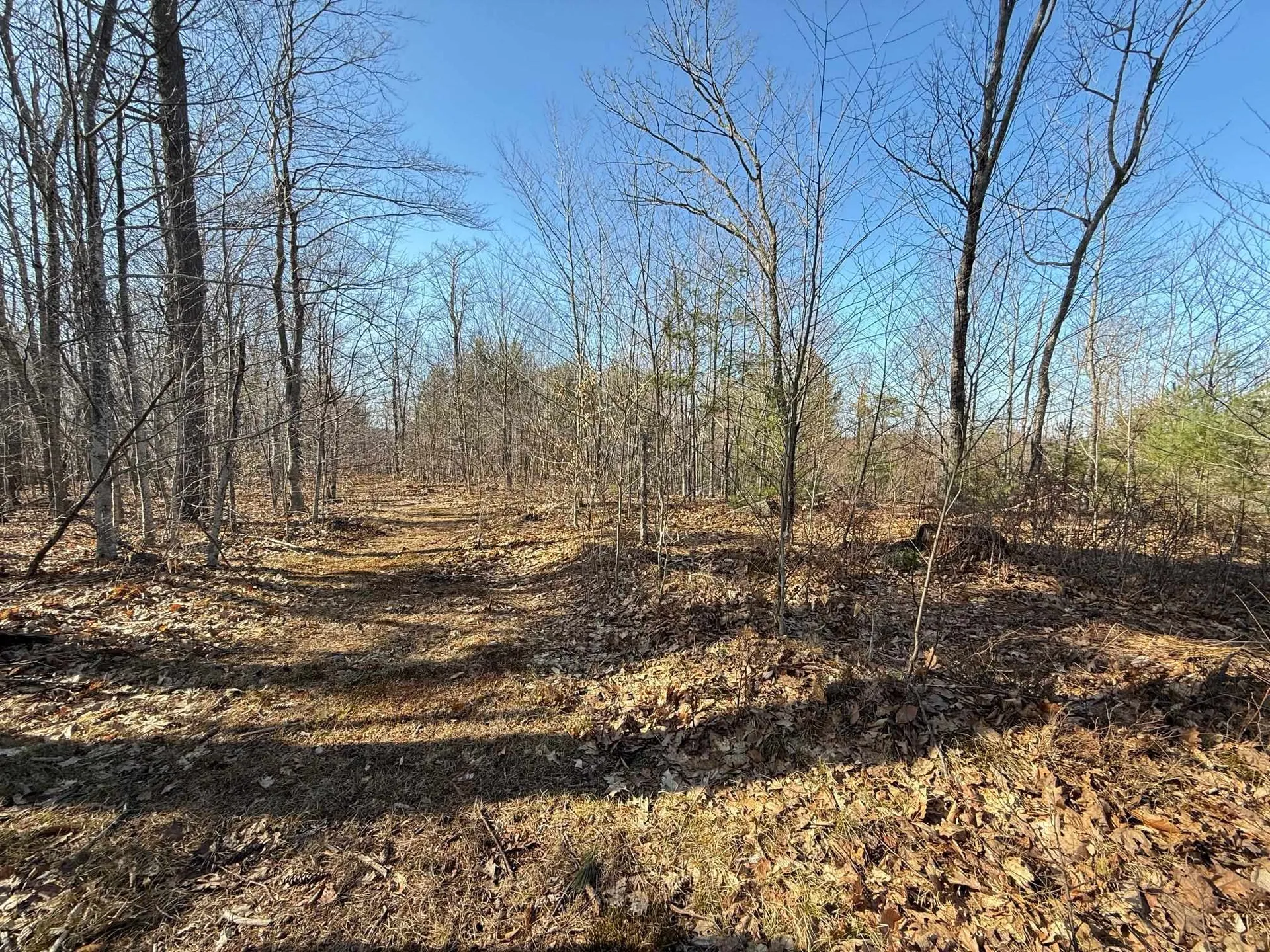 Map 3 Lot 18-2b And 18-2c Water Street Strafford NH 03884