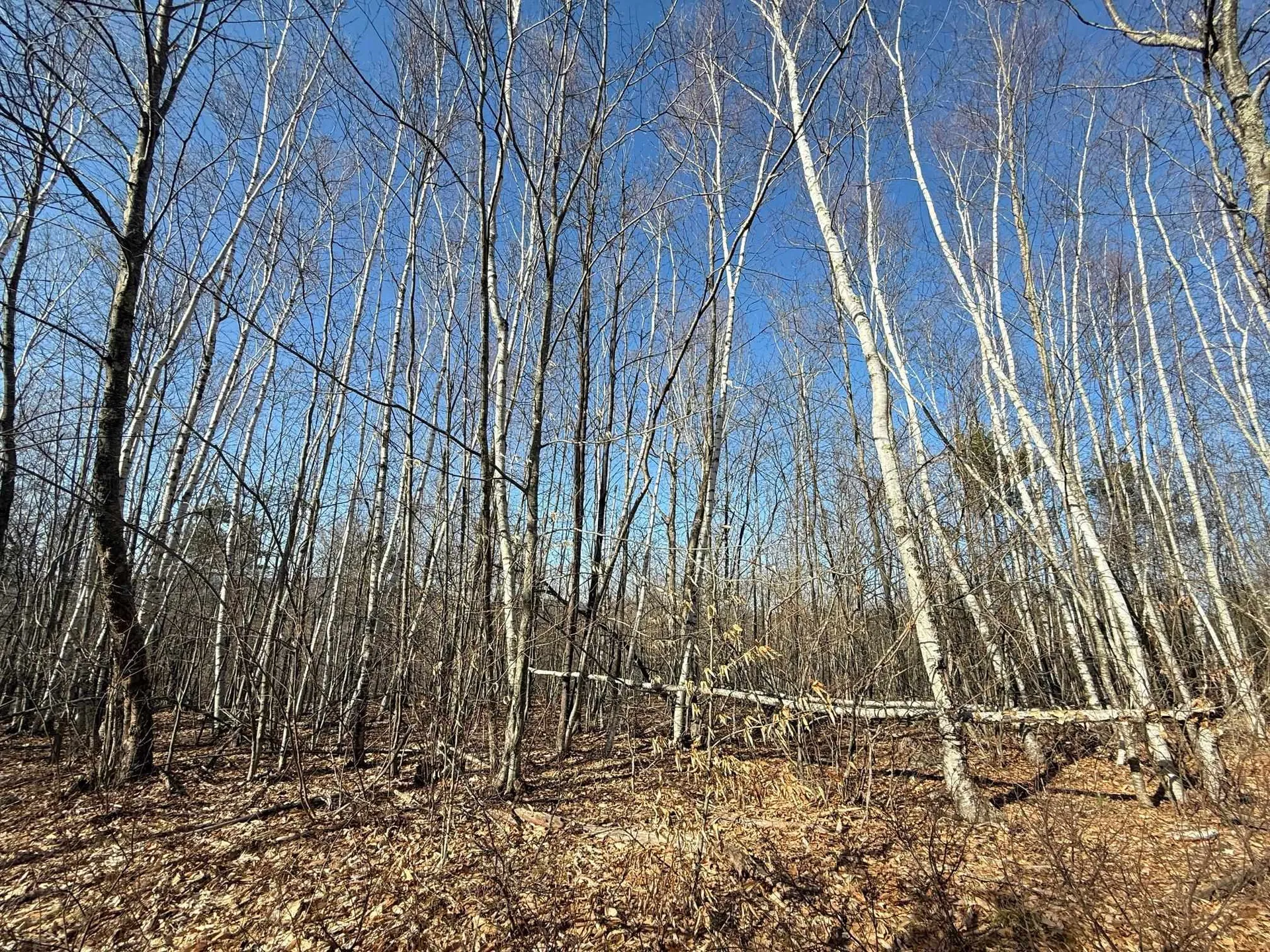 Map 3 Lot 18-2b And 18-2c Water Street Strafford NH 03884