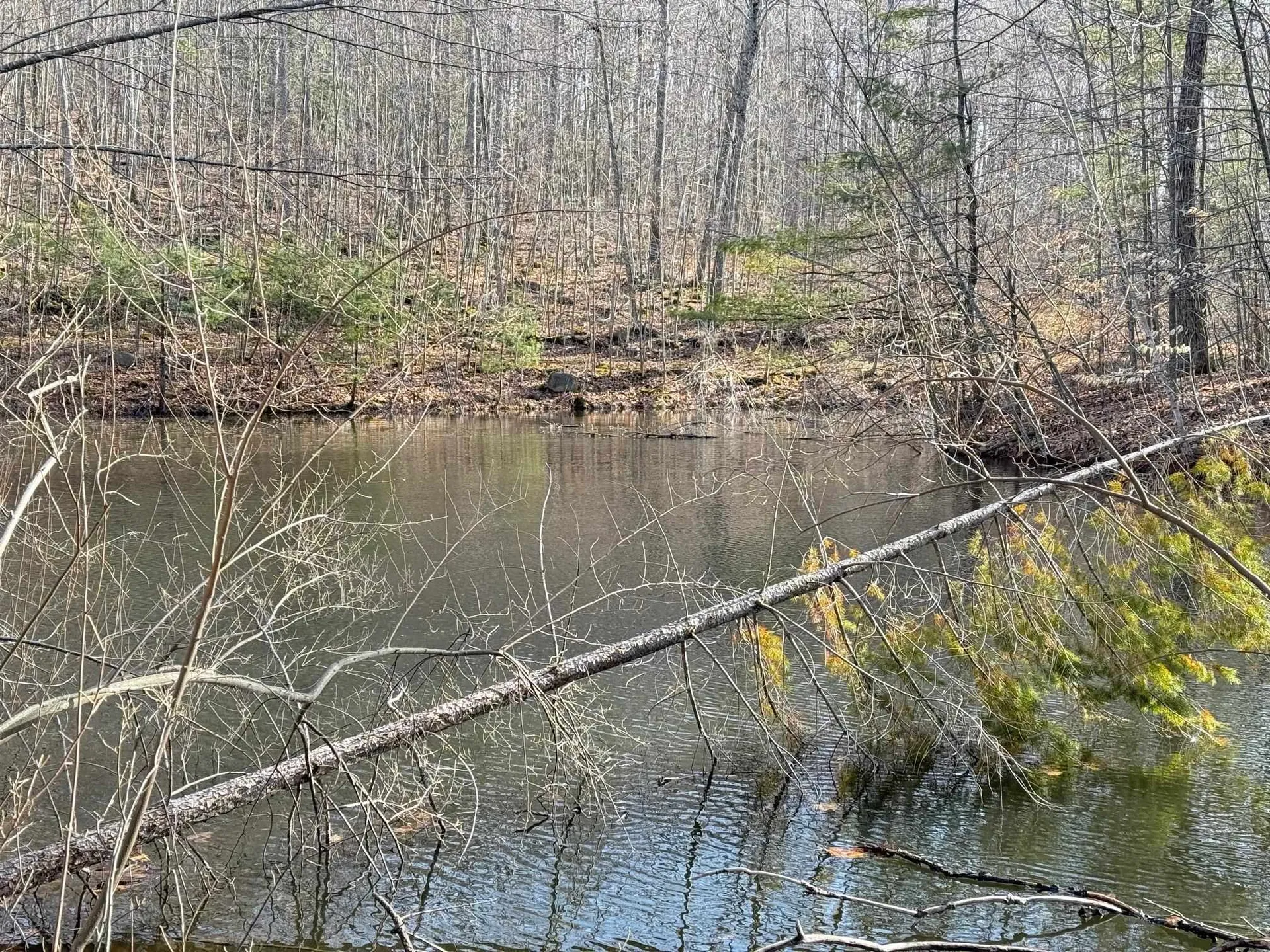 Map 3 Lot 18-2b And 18-2c Water Street Strafford NH 03884