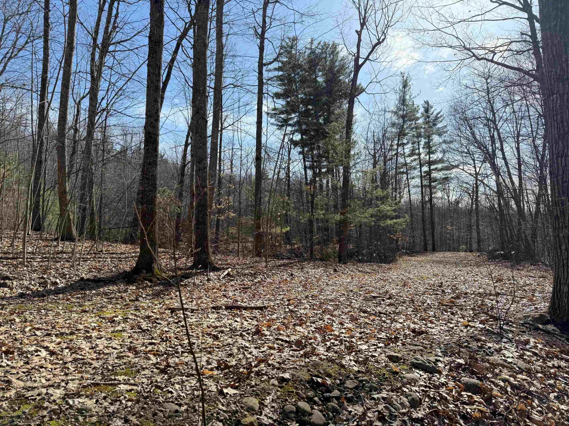 Map 3 Lot 18-2b And 18-2c Water Street Strafford NH 03884